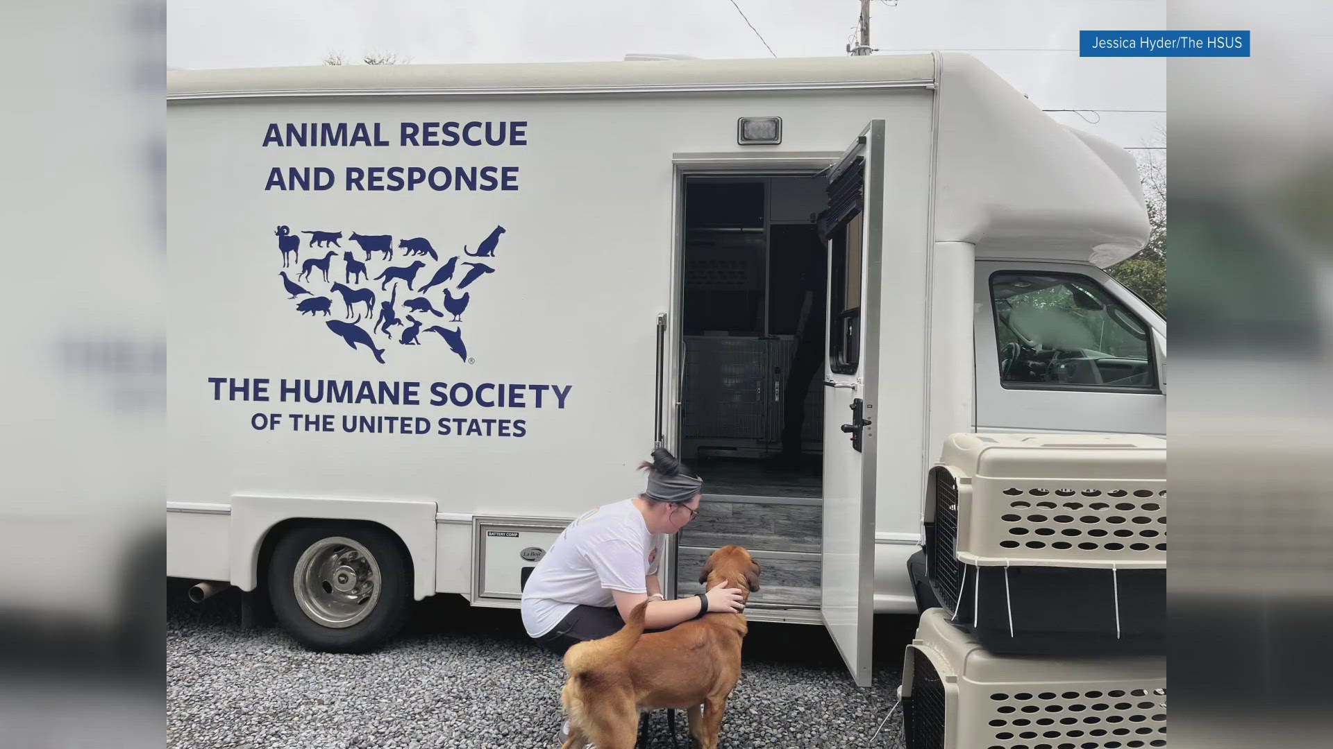 The Humane Society of the United States has been working with both the shelters in Cocke County and Unicoi County.