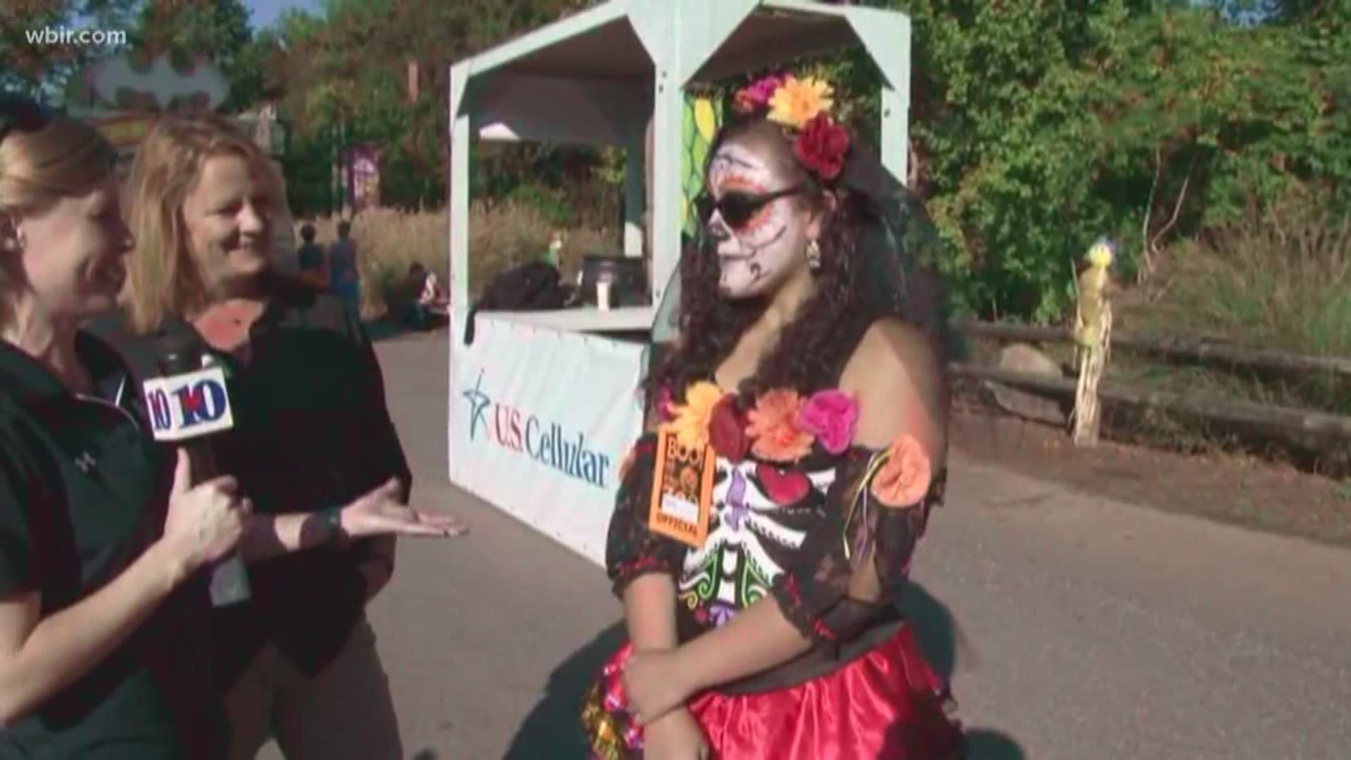 10News Meteorologist Cassie Nall talks to organizers and volunteers as things start to get spooky at Zoo Knoxville.