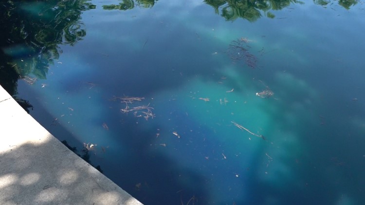 10Listens: Why did the water in Fountain City Park lake turn bright blue on Tuesday?