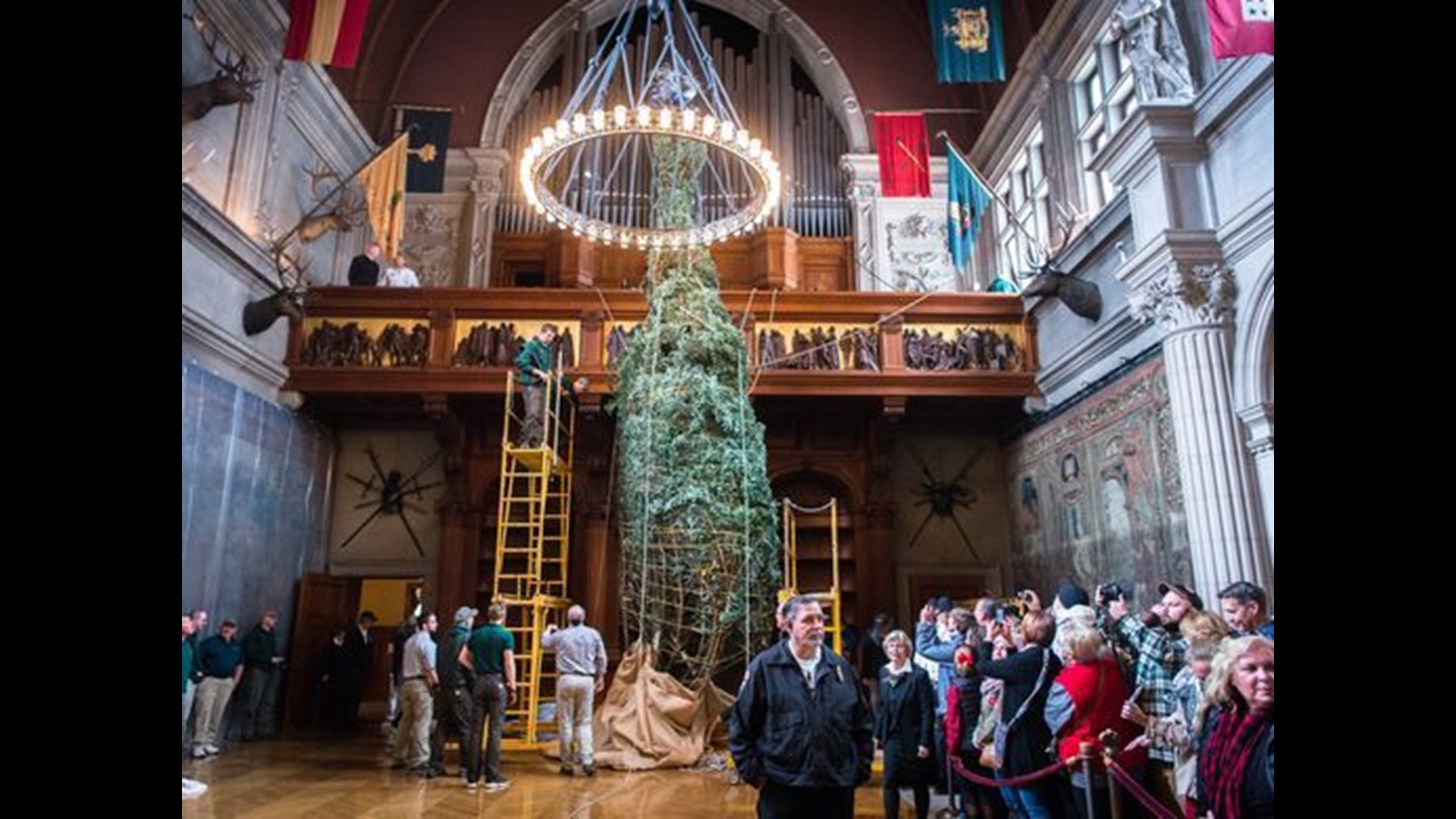 Biltmore christmas tree raising 2025