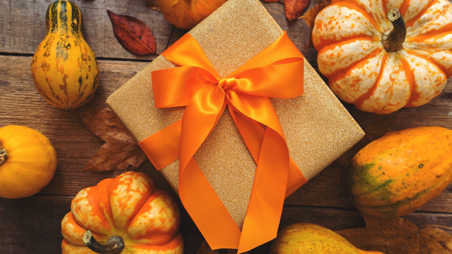 As fall sets in, get into these festive deals at local shops in the Triad.