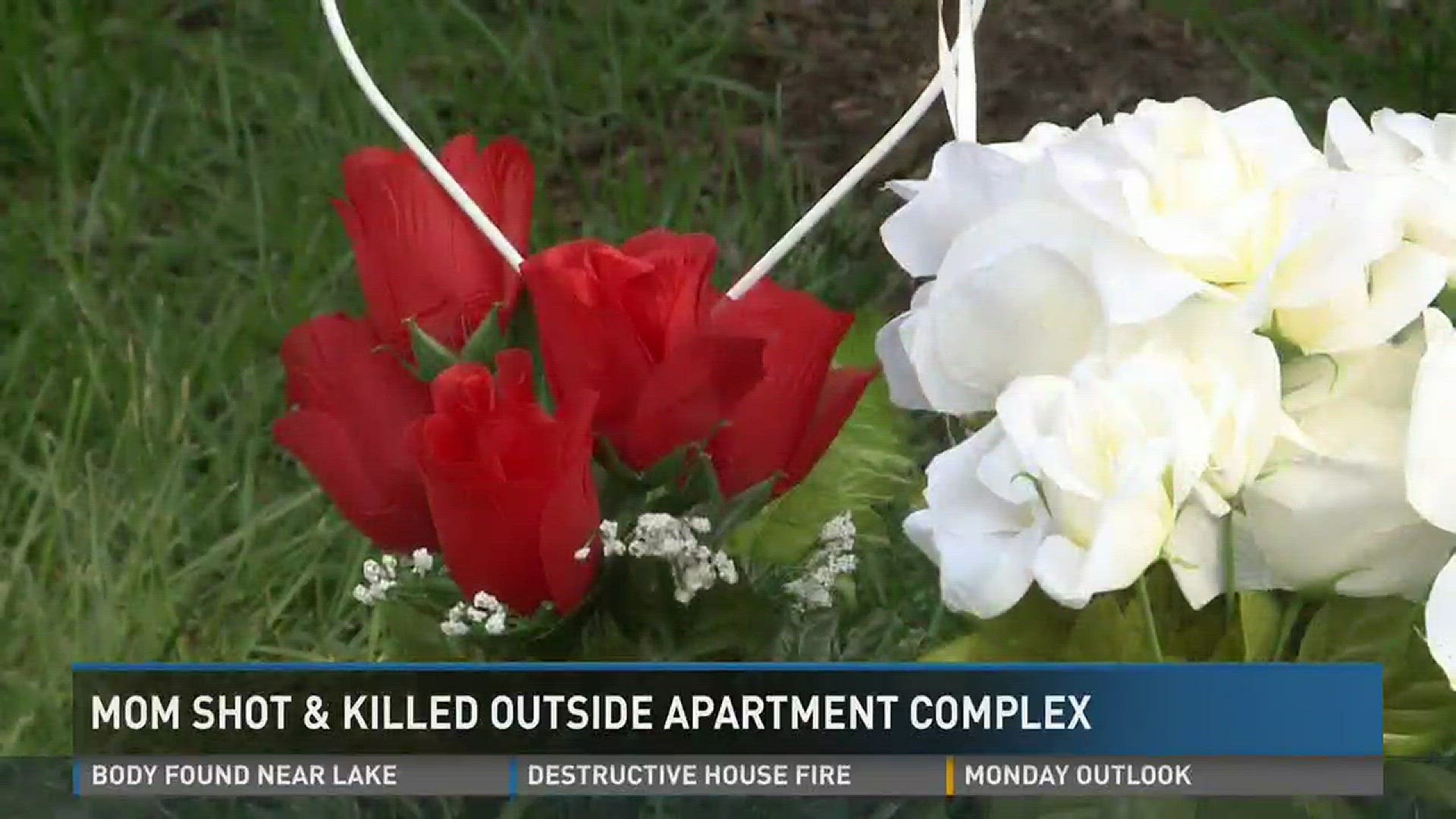 Mother shot, killed in front of son on Mother's Day | wbir.com
