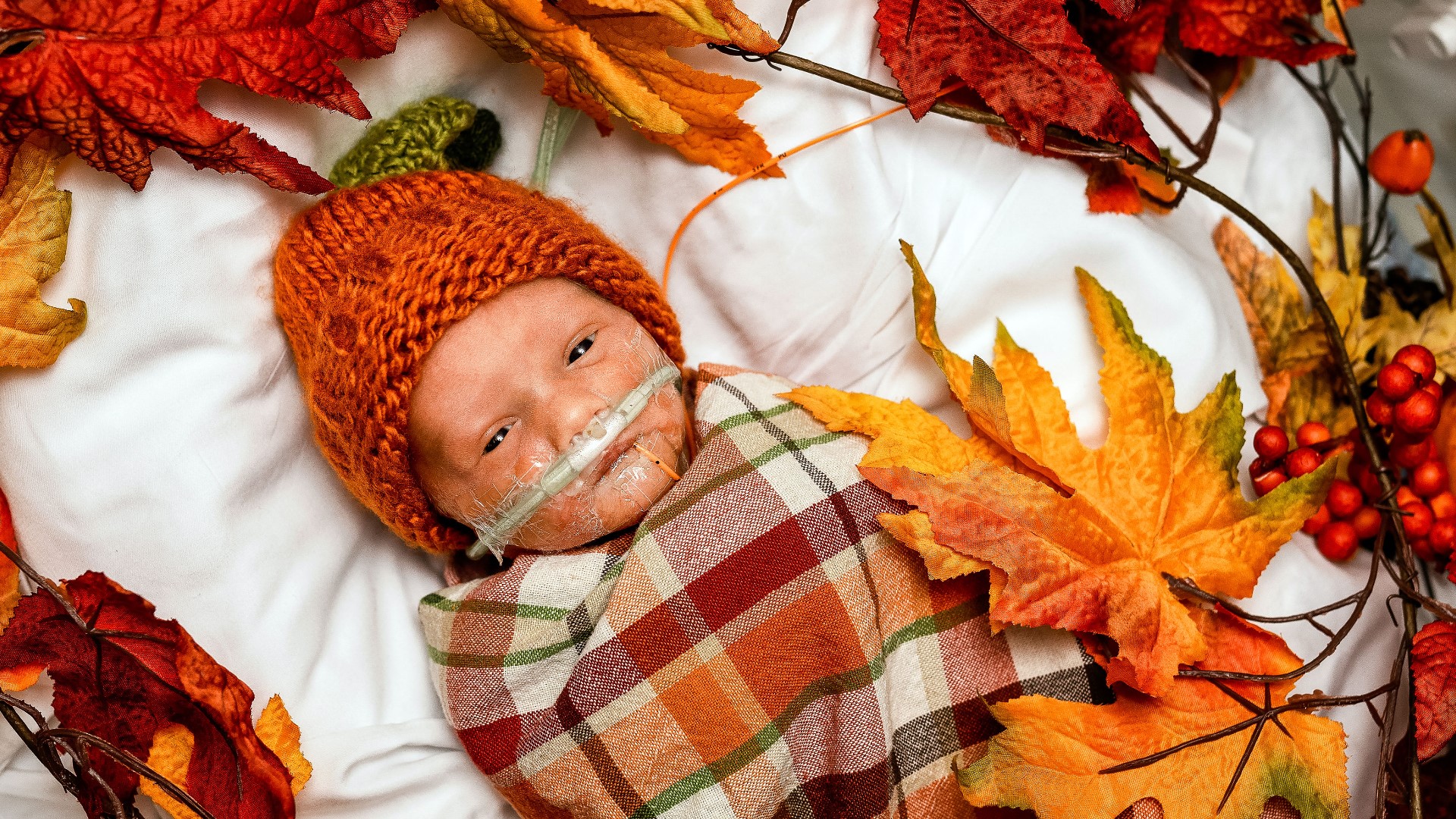 A former NICU mom treated babies at Baptist Health Louisville to a Thanksgiving-themed photo shoot with leaves, pumpkins, and plaid.