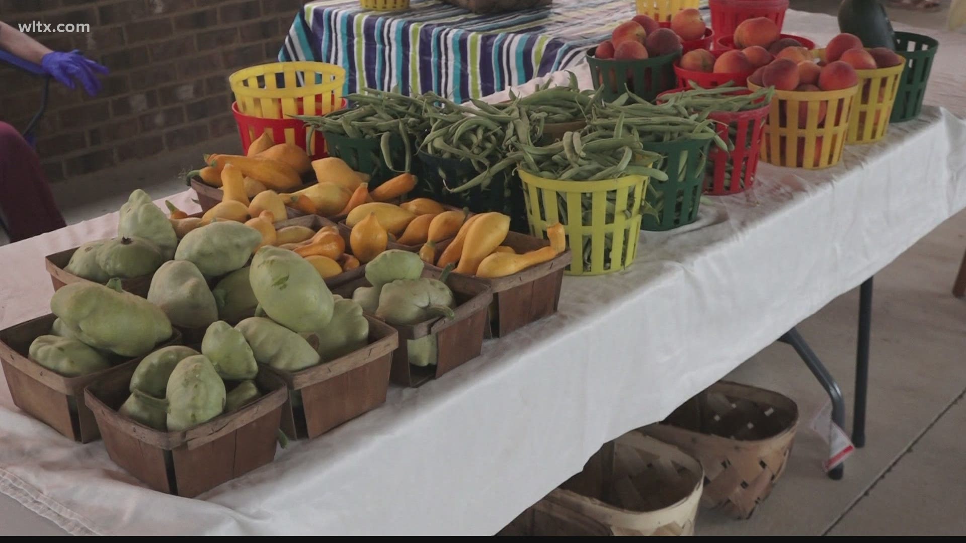 Eligible seniors receive five $5 checks to spend at authorized farmers’ markets, roadside stands, and community-supported agriculture programs.