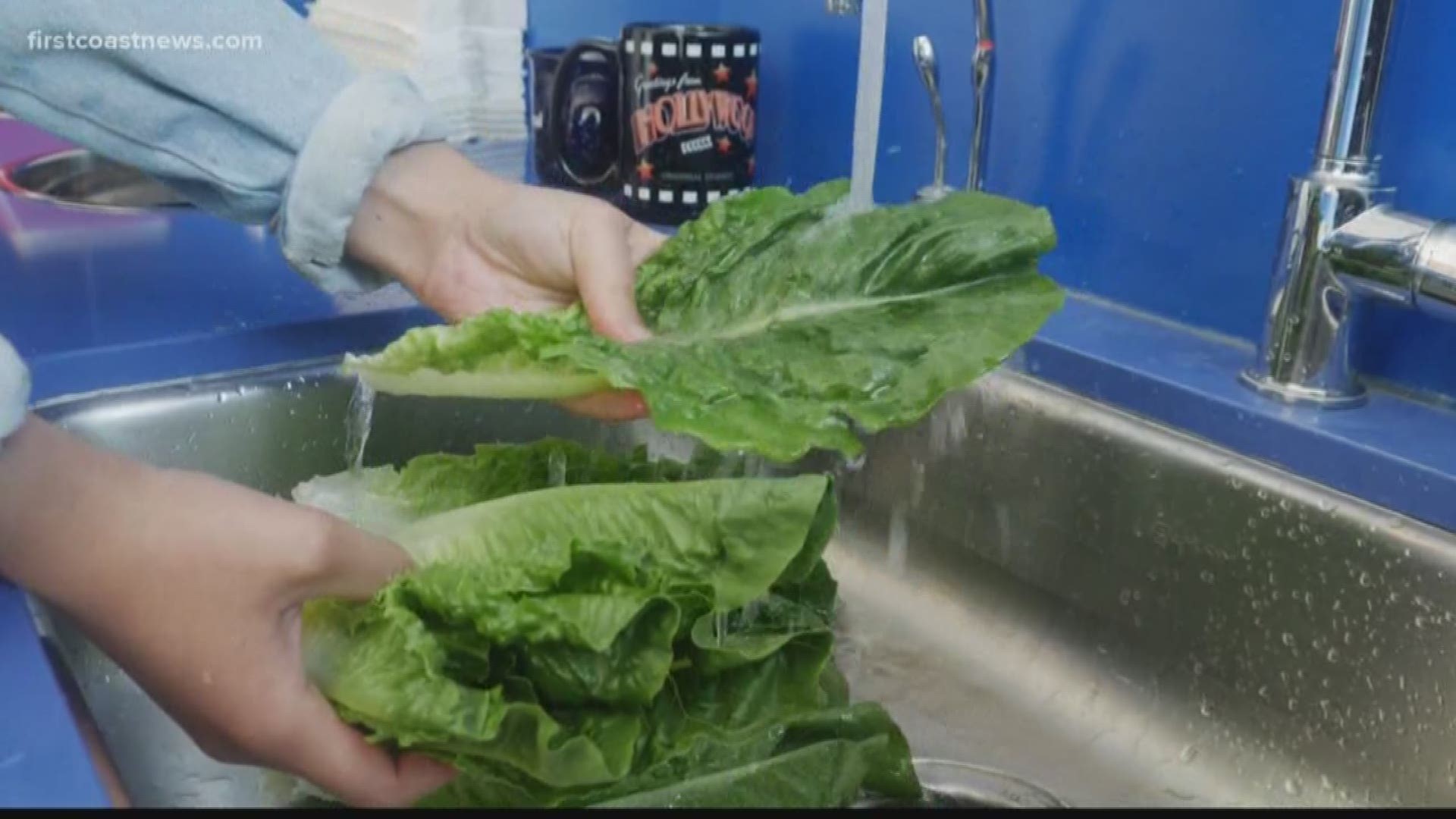 Red leaf and green leaf lettuce have been recalled due to a possible E. coli contamination.