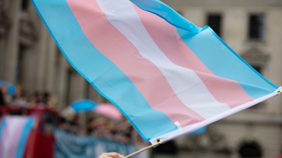 Advocates host virtual emergency town hall meeting to discuss anti-transgender legislation in TN - Vimarsana News