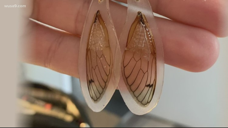Maryland woman showcases her love for nature by creating cicada earrings