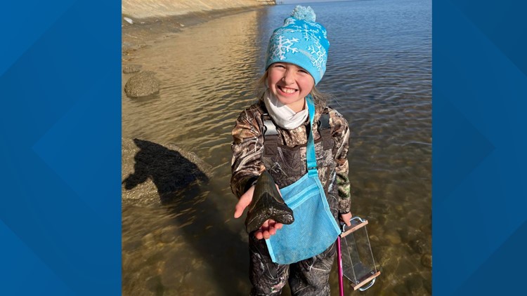 Maryland girl finds shark tooth from ancient megalodon