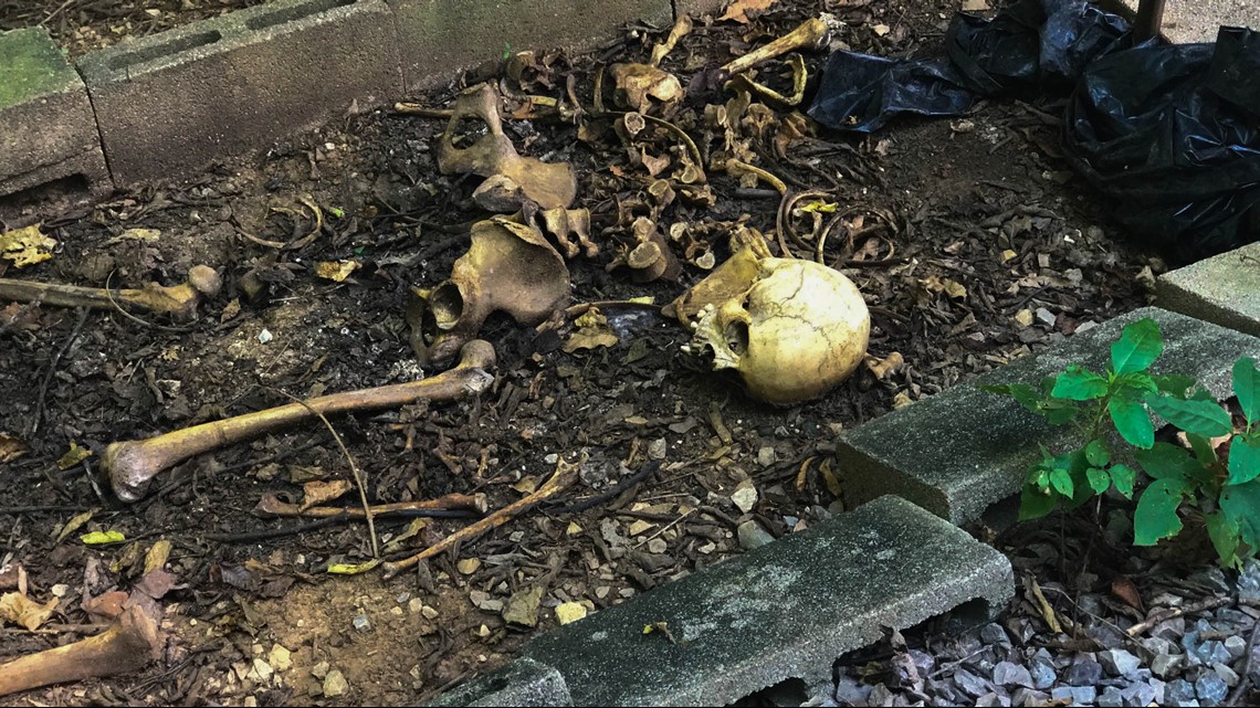 Photos | Inside The Body Farm | wbir.com