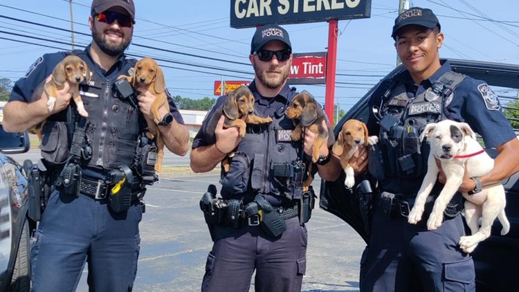 Georgia police 'Paw Patrol' rescue puppies who made a 'prison break'